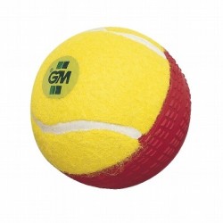 GM Cricket Swing Ball